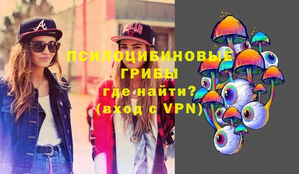 а пвп мука Абаза