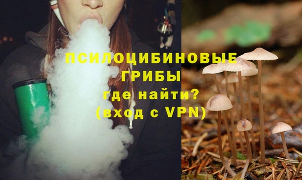 не бодяженный Новозыбков