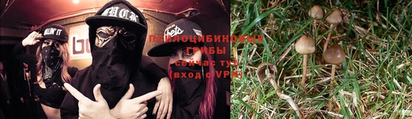 а пвп мука Абаза