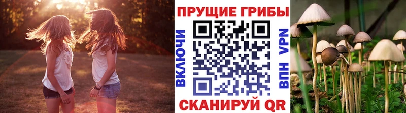 где можно купить   Кадников  Галлюциногенные грибы ЛСД 